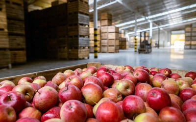 Вилочные погрузчики для работы с продуктами питания: основные требования и рекомендации
